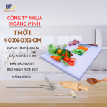 thớt nhựa 40x60x3cm