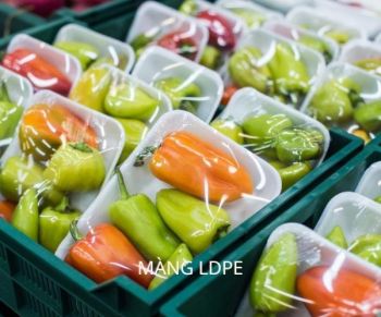 Màng PE là gì? Ưu điểm của màng PE